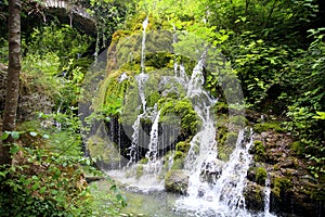 Thin waterfalls in the green of the forest, so-called `Hair of Venus`, Capelli di Venere, Cilento, Campania, Italy