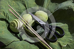 Things for using tonsure during ordination ceremony.