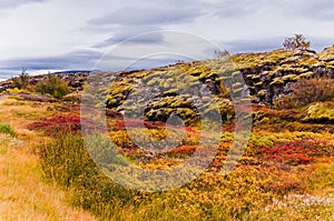 Thingvellir national park, Iceland