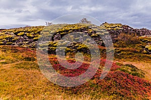 Thingvellir national park, Iceland