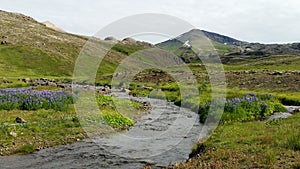 Thingvellir National Park Iceland