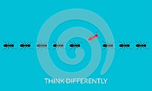Think differently concept. A red ant going different way from black ants. Changing direction, different, unique, leadership