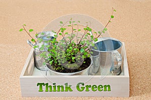 Think Green