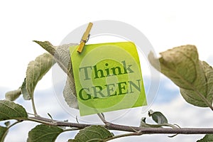 Think Green