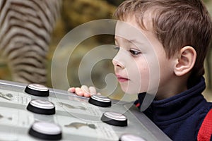 The thinking boy studying birdsong photo