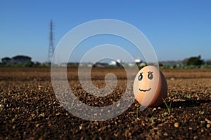 Thinking egg standing on the soil field