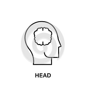 thinking, head, brain, creative idea icon. Element of human positive thinking icon. Thin line icon for website design and