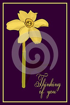 Thinking of you - card.Yellow flower Narcis. Eps10 vector stock illustration