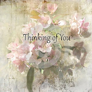 Thinking of You Greeting Card Message. Cherry Blossoms. photo