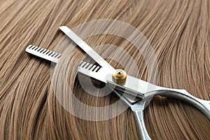 Thinning scissors on light brown hair. Hairdresser service