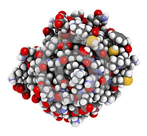 Thioredoxin antioxidant enzyme. 3D illustration photo
