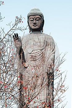 The third largest Buddha statue in the World in Ushiku Japan