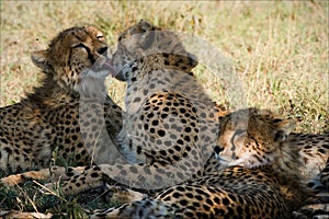 The third superfluous.