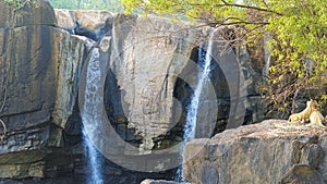 Thirparappu falls Amazing tourist place with water,rocks and beautiful scenery Located in Kanyakumari District, Tamilnadu, India