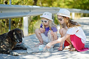 Thirsty black stray dog drinking water from the plastic bottle on hot summer day. Two kids giving cool water to thirsty dog