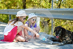 Thirsty black stray dog drinking water from the plastic bottle on hot summer day. Two kids giving cool water to thirsty dog