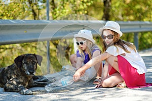 Thirsty black stray dog drinking water from the plastic bottle on hot summer day. Two kids giving cool water to thirsty dog