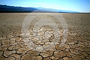 Thirsty in the desert