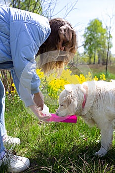 Thirsty dog drinking water from plastic bottle in owner hands, close up photo