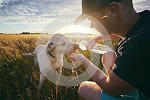 Thirsty dog at sunset