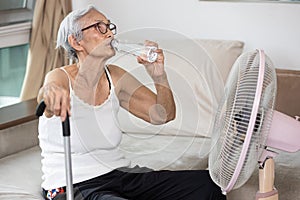 Thirsty elderly woman drinking water to quench thirst,refresh in hot summer weather,senior grandmother enjoying cooling wind from