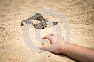 Thirsty man extends his hand to the bottle. photo