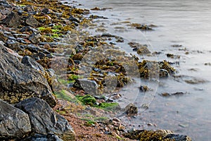 Vibrant Shoreline On Cape Breton In Nova Scotia, Canada photo