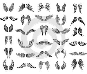 Thirty pairs of wings, graphic illustration