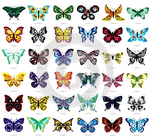 Thirty six colorful butterflies on white