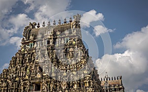 Thirukadaiyur temple tower - Tamilnadu