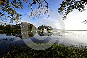 Thissamaharamaya lake in Sri Lanka