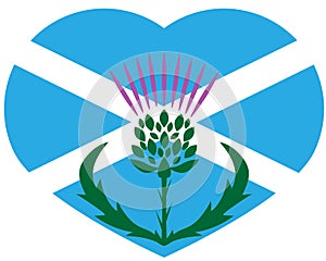 Thistle on the background of the flag of Scotland