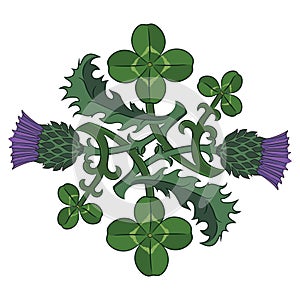 Thistle and Clover. The symbols of Ireland and Scotland. Twisted clover and Thistle photo