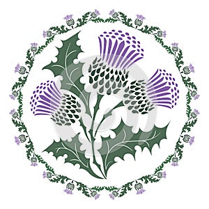 Thistle flower and ornament round leaf thistle. The Symbol Of Scotland photo