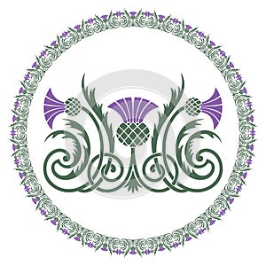 Thistle leaves and flowers, ornament round leaf thistle. The Symbol Of Scotland