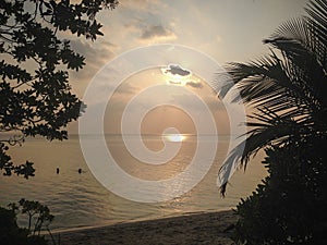 Thoddoo Alif Alif Atoll, Maldives - February 12, 2017: beautiful sunset through palm trees on the island Thoddoo