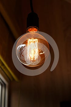 Thomas Edison Bulb