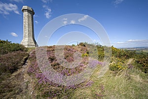 Thomas hardy monument dorset england