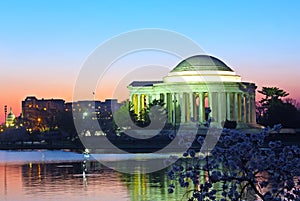 Thomas Jefferson Memorial and Capitol Building at predawn during cherry blossom festival.