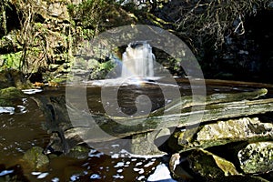 Thomason Foss Waterfall, Thomason Woods, Beck Hole