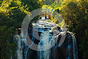 Thomson Falls photo