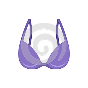 Thong bra icon flat isolated vector