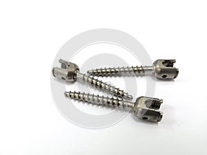 Thoracic Lumbar Vertebra Pedicle Screw in White Background