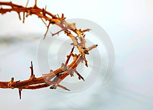 Thorn crown close up