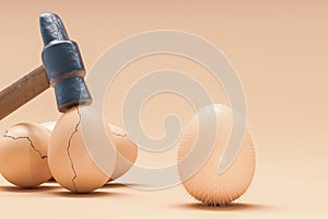Thorn on egg among cracked eggshell hit by hammer