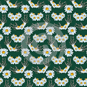 Thornes and daisy in a seamless pattern