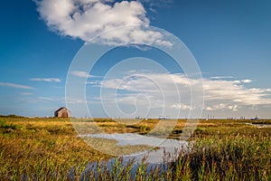 Thornham Harbour in the Salt Marsh photo