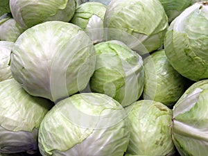 Thornhill cabbage 2018