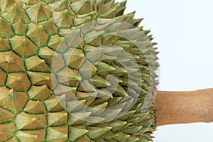 Thorns of durian fruit