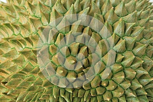 Thorns of durian fruit